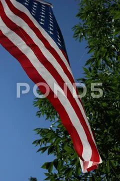 American flag Stock-Fotos