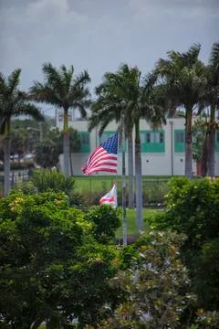 American Flag 스톡 사진