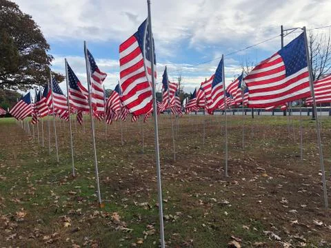 American Flag Stock Photos