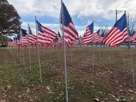 American Flag Stock Photos