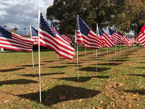 American Flag Stock Photos