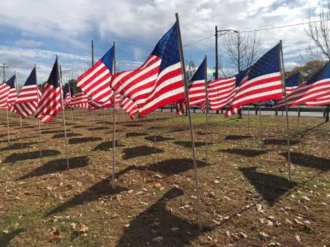 American Flag  Stock Photos