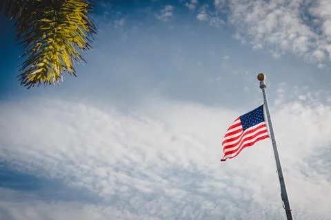American Flag 库存照片