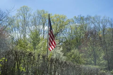 American Flag on Pole with Spring Background and Blue Sky Foto stock