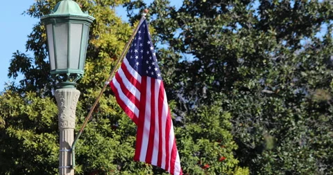 American Flag On Pole With Trees Stock-Footage 246399666