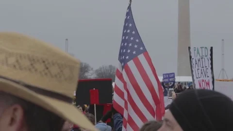 American Flag Protest Crowd Washington Monument - Womens March Stock Footage 81252880