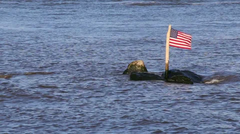 The American Flag on a Rock in a River Stock Footage 38601789