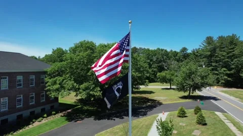 American Flag service flags in wind sunny Stock Footage 197343032