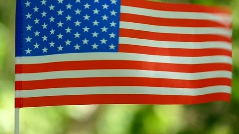 American Flag in slow motion, close up, Forest green  blurred background Video stock 90522500