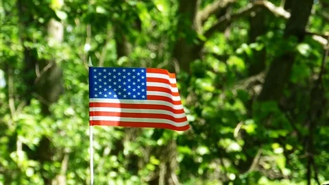 American Flag in slow motion, Forest green  blurred background Stock Footage 90522490