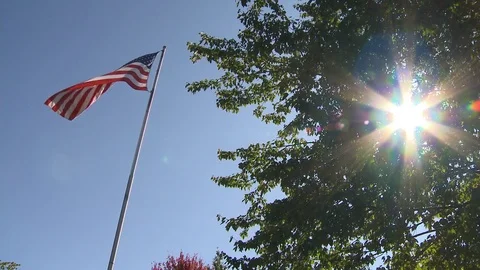 American Flag sun in tree 2 Stock Footage 81341434