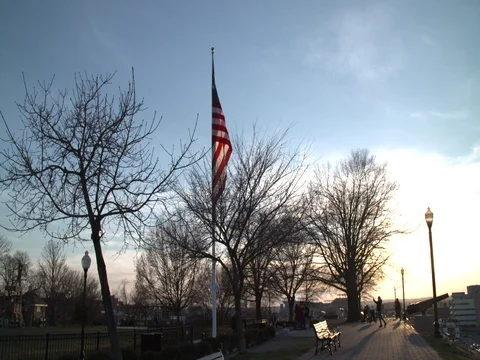 American Flag Tree and Blue Sky Stock Footage 75049847
