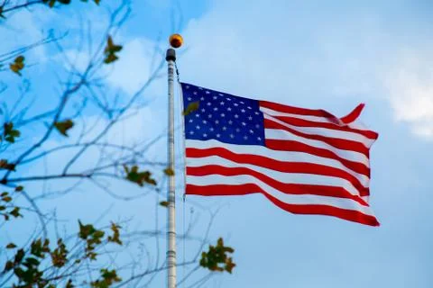 American flag with a tree Stock Photos