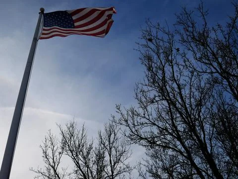 American Flag with Trees in Background Stock-Fotos
