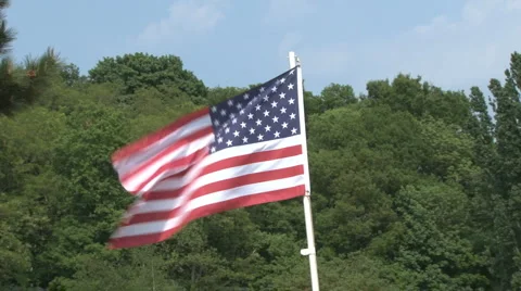 American flag with trees Stock Footage 6546348