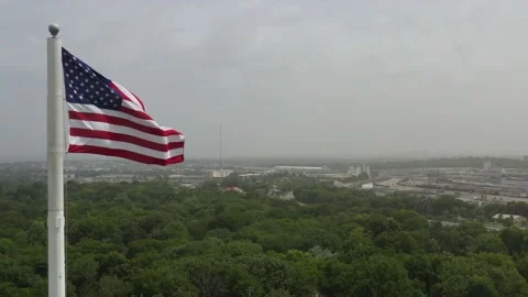 American Flag Trees Video stock 133660768