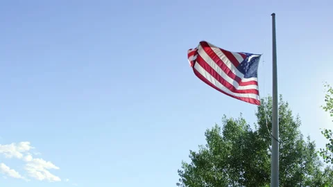 American flag waves at half mast next to trees with negative space for copy Stock-Footage 202230061