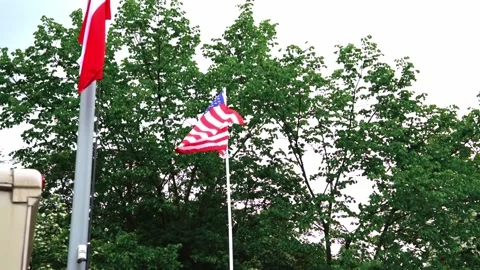American flag waves by the wind on flagpole on the trees background. Stock Footage 201341866