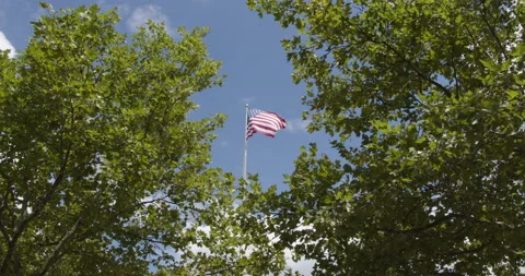 American Flag Waving Between Trees - Cincinnati, OH Stock Footage 136686188