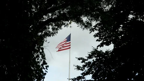 American flag waving in breeze with tree branches framing flagpole, day. Video stock 111018919