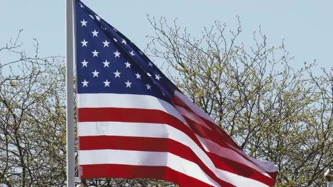 American flag waving in a clear sky surrounded by trees during a sunny day .. Stock Footage 310496943