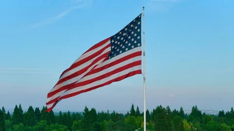American Flag Waving On Flagpole Against Clear Sky And Green Trees Stock Footage 344779491