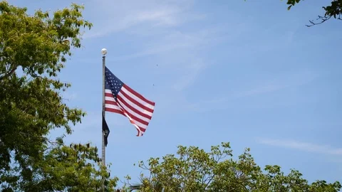 American flag waving at low wind between trees 스톡 동영상 94018864