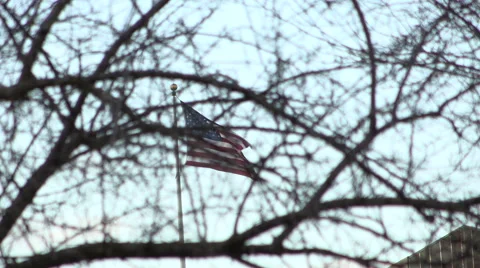 American Flag waving through trees Stock Footage 47718556
