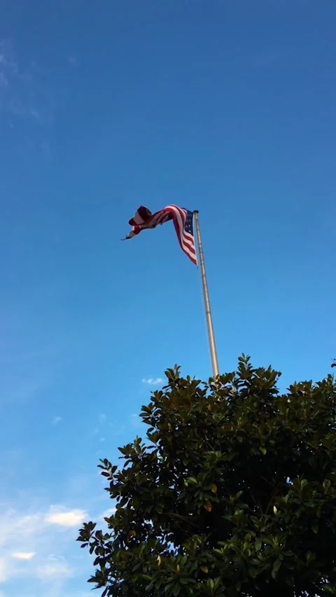 American flag waving under a blue sky Stock Footage 311772963