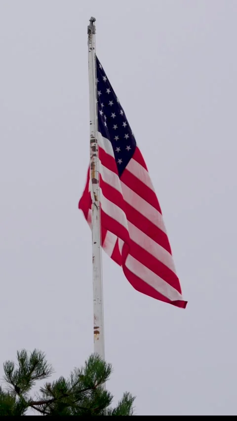 American Flag waving - vertial Stock Footage 336810873