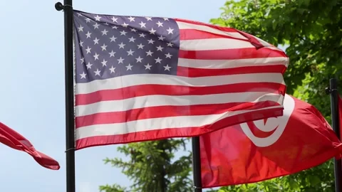 American flag waving on wind next to Tunisian flag against green trees backgroun Stock Footage 335764728