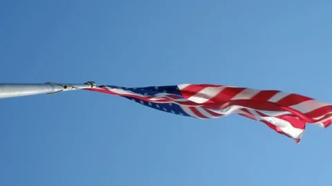 American flag in the wind, low angle shot, can be used as vertical shot Video stock 109474324