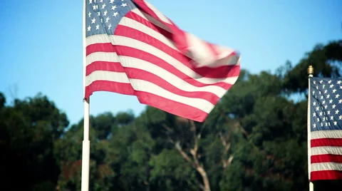 American Flags 01 스톡 동영상 1007188