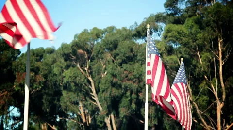 American Flags 02 스톡 동영상 1007246