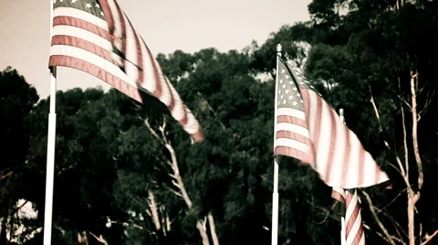 American Flags 03 스톡 동영상 1007292