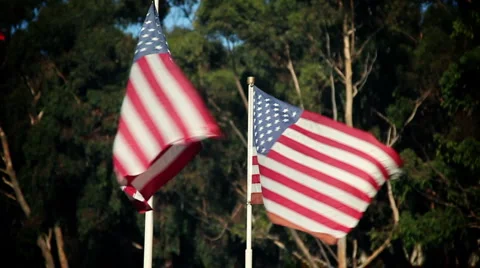 American Flags 04 Stock Footage