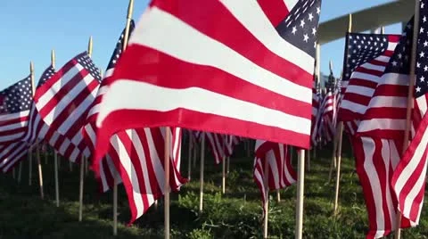 American Flags 2 Video stock 11235457