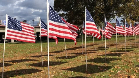 American Flags 2 Stock Footage 97831691