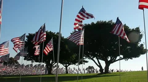 AMERICAN FLAGS 911 TRIBUTE Stock Footage 12155797