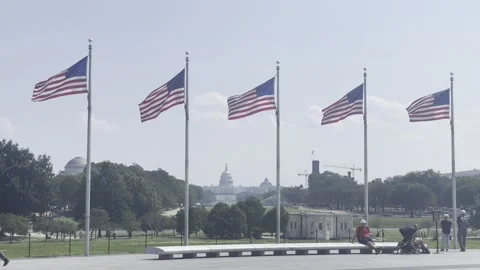 American Flags and the U.S Capitol Stock Footage 269050622