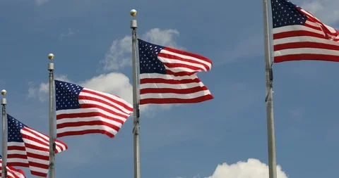 American flags blow in the wind Stock Footage 100853146