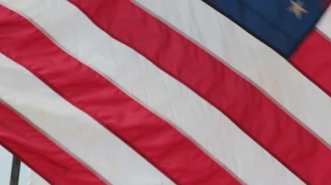 American Flags Blowing in Foreground and Background Stock Footage 37248435