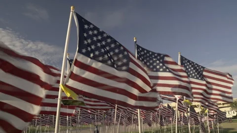 American Flags Blowing Violently in Strong Wind at a Memorial Park, 4K Stock Footage 338021697