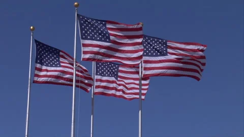 American flags blowing in the wind Stock Footage 241346854
