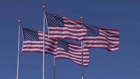 American flags blowing in the wind Stock Footage 241347110