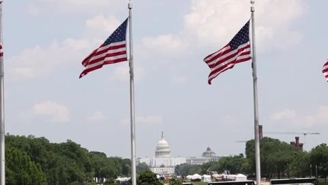 American flags blowing in the wind with the US Capital building in the distance Stock Footage 241266594