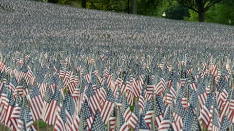 American Flags Boston Common Stock-Footage 50383792