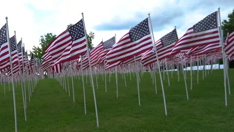 American Flags in the Breeze Stock Footage 222650364
