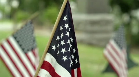 American Flags in Cemetery Stock Footage 37215641