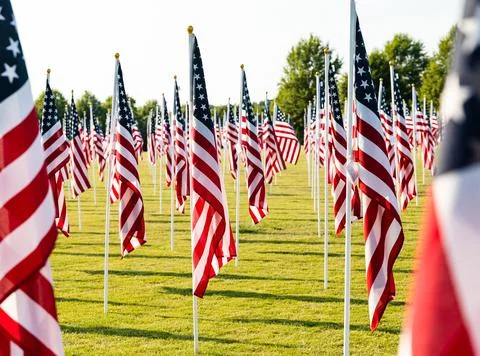 American Flags in field Stock Photos